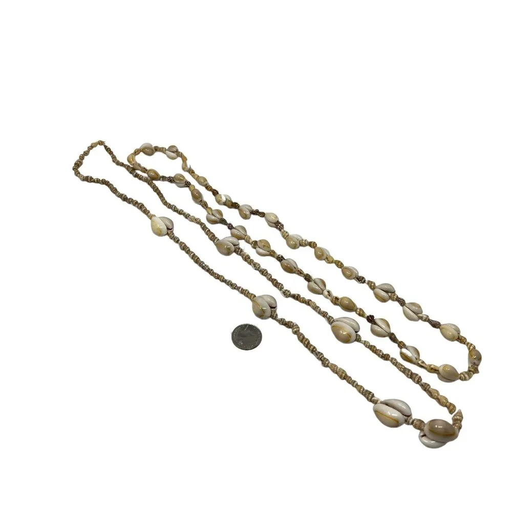 Unbranded cowry shell